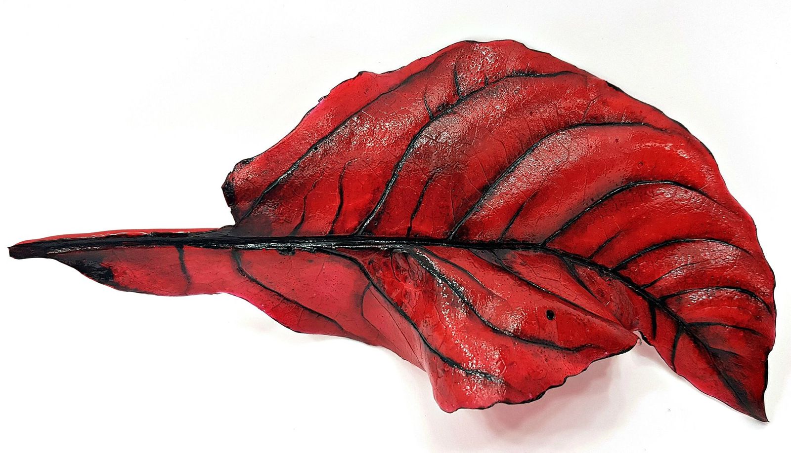 Fragment of Aralia Leaf
