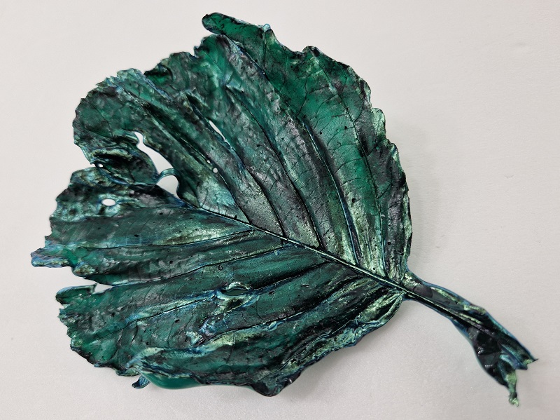 Distressed Alder Leaf