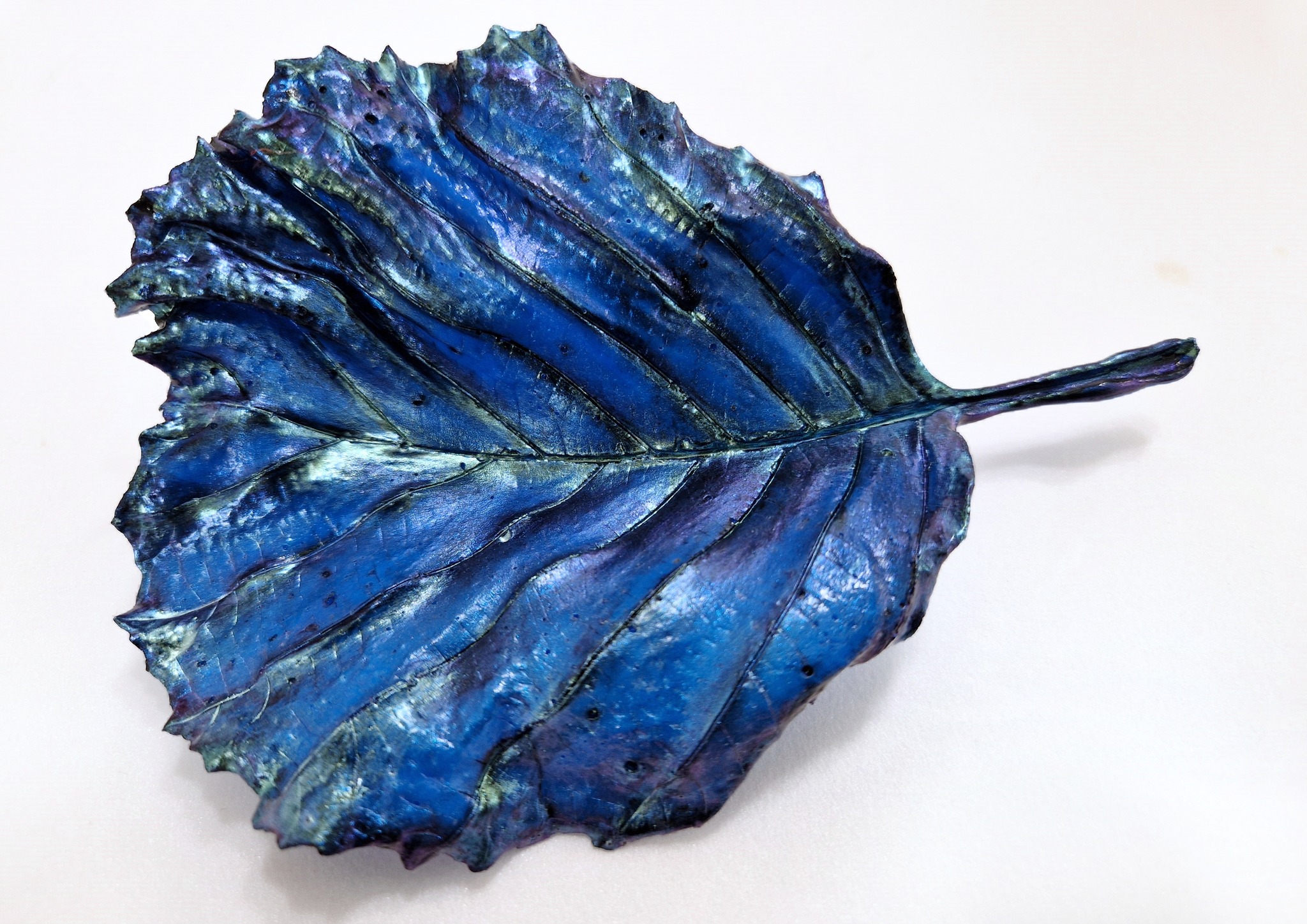 Alder Leaf