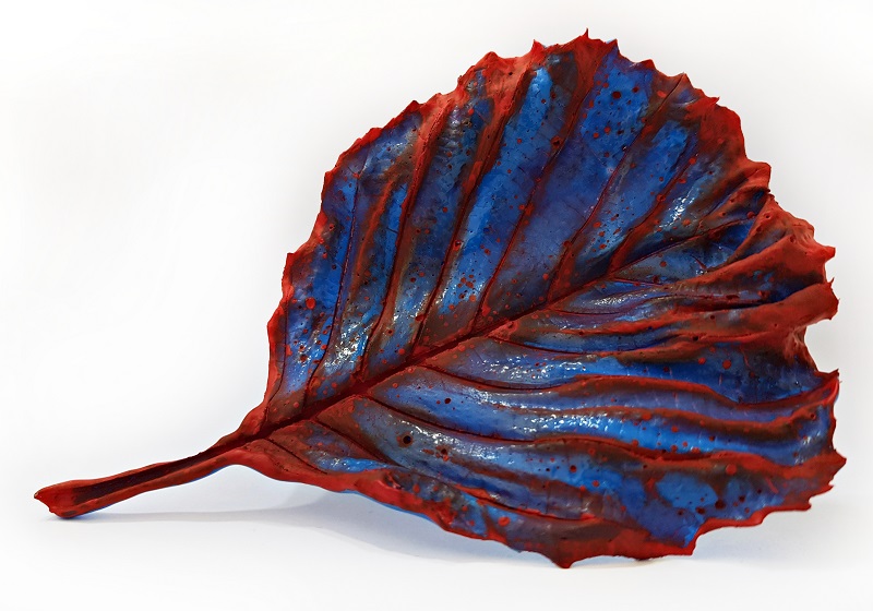 Alder Leaf
