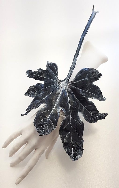 Aralia Leaf
