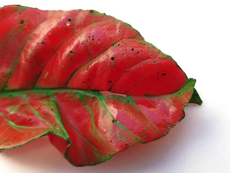 Fragment of Aralia Leaf