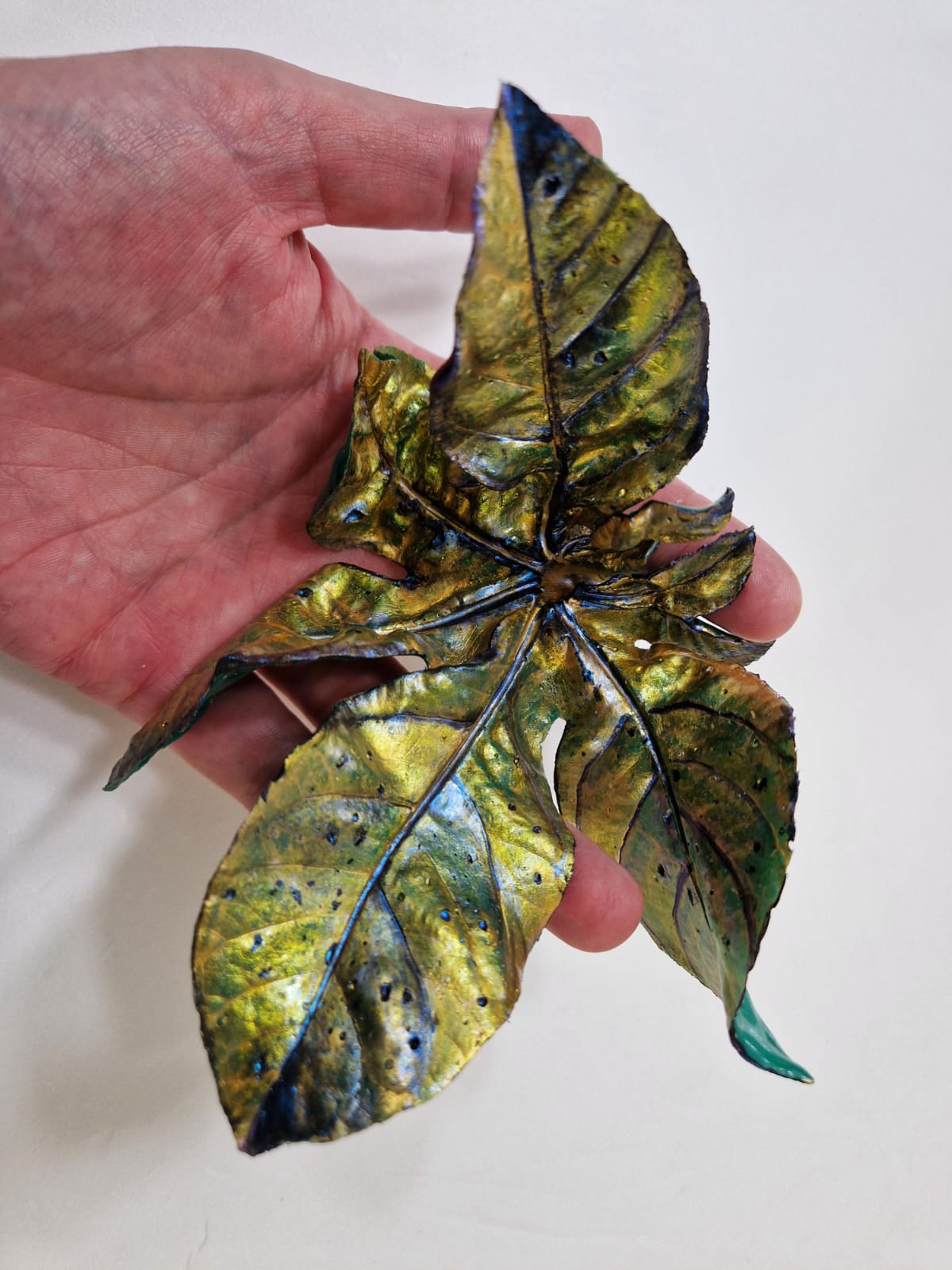 Aralia Leaf