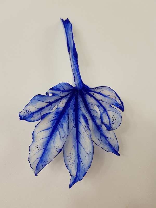 Aralia Leaf