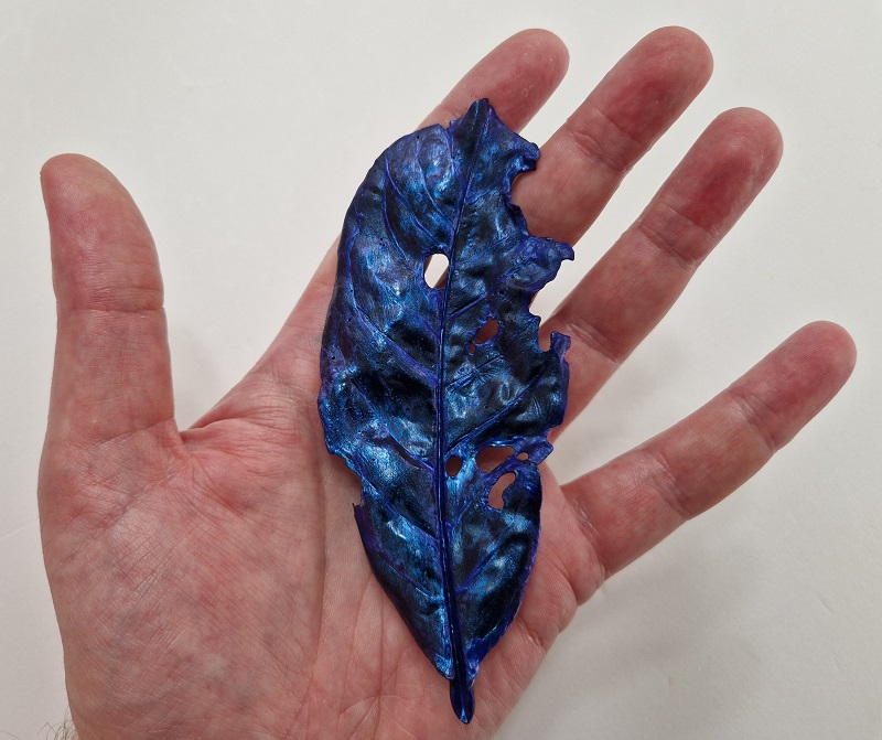 Distressed Cherry Laurel Leaf