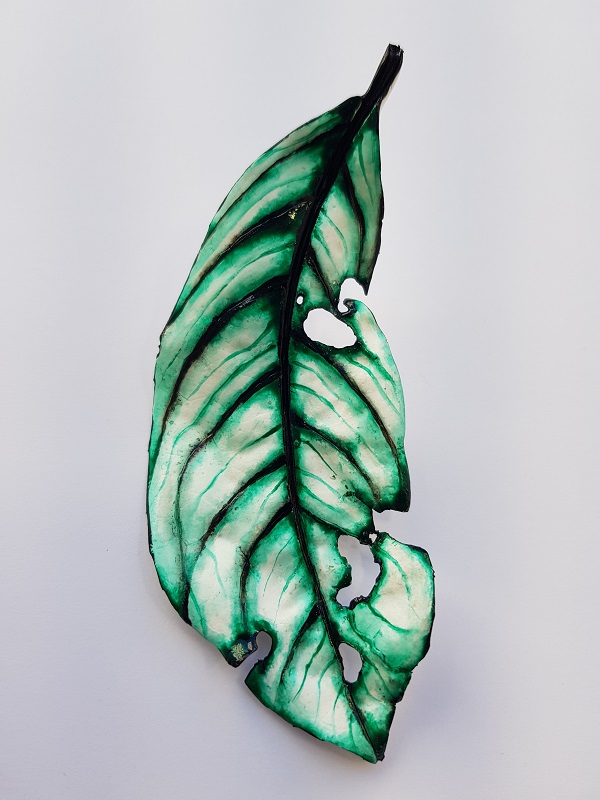 Distressed Cherry Laurel Leaf
