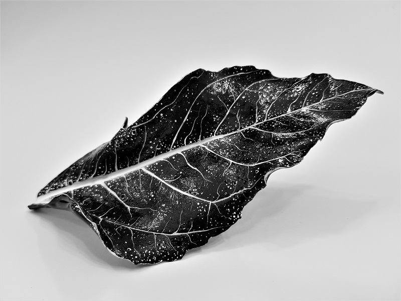 Fragment of Aralia Leaf