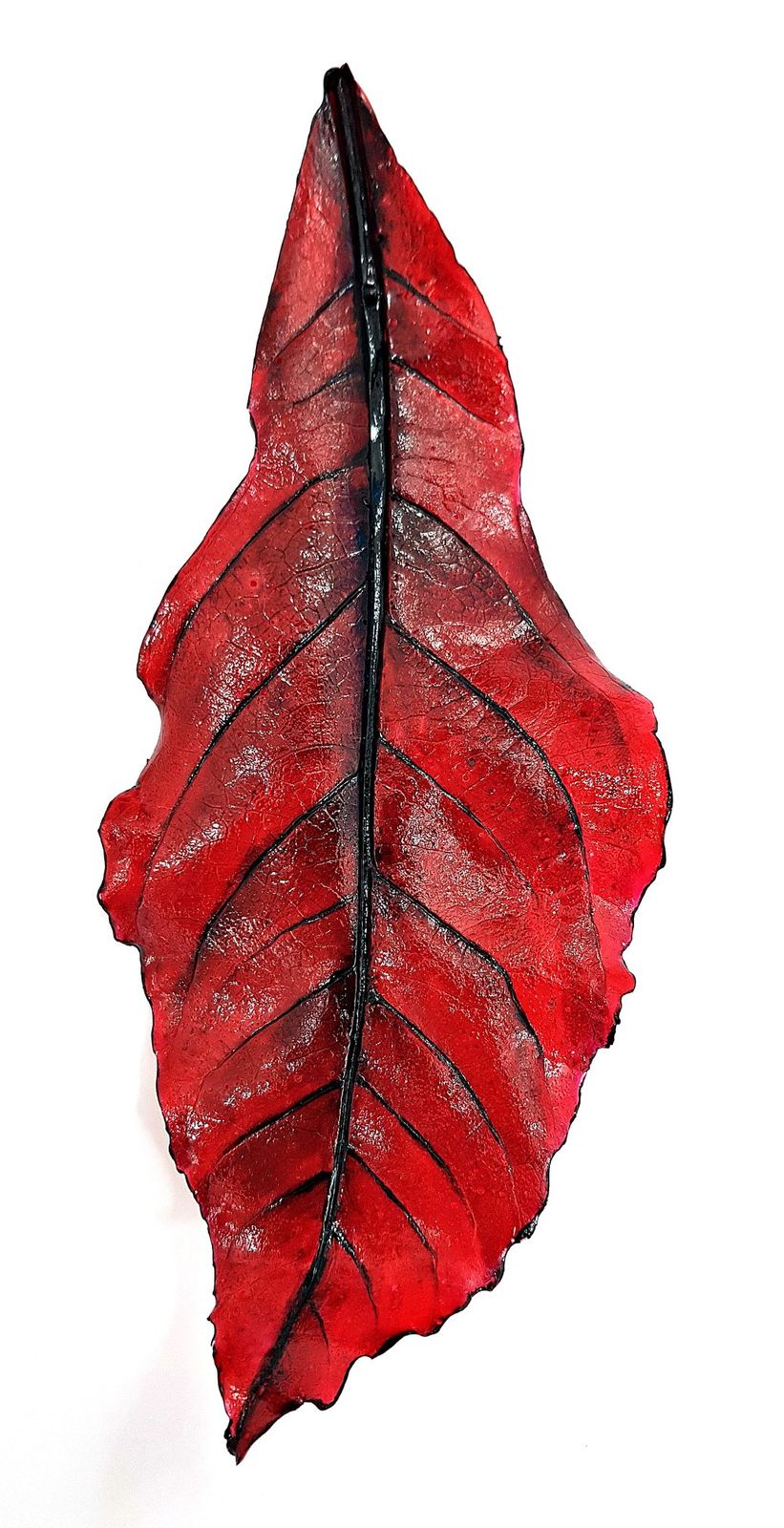 Fragment of Aralia Leaf