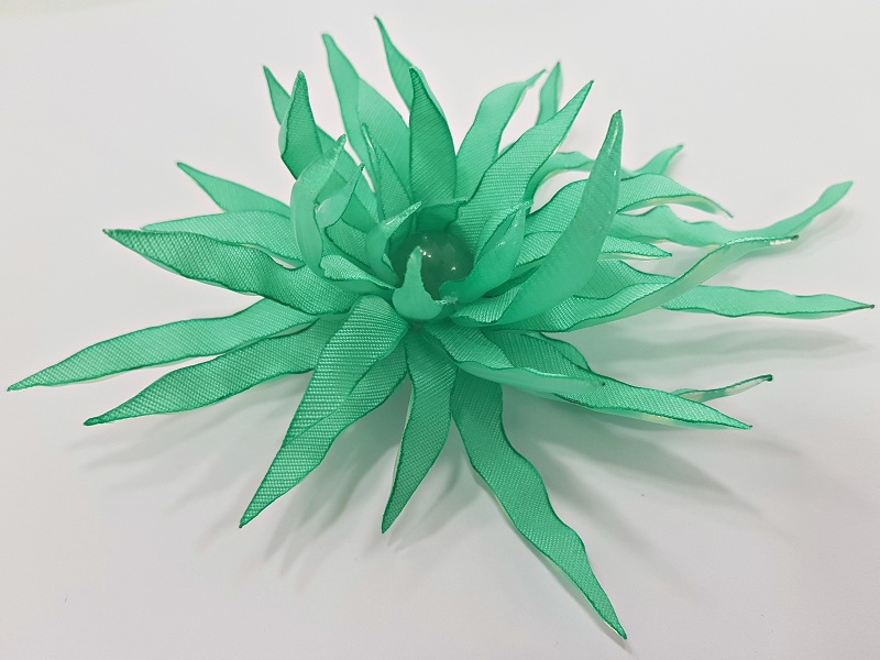Succulent Flower