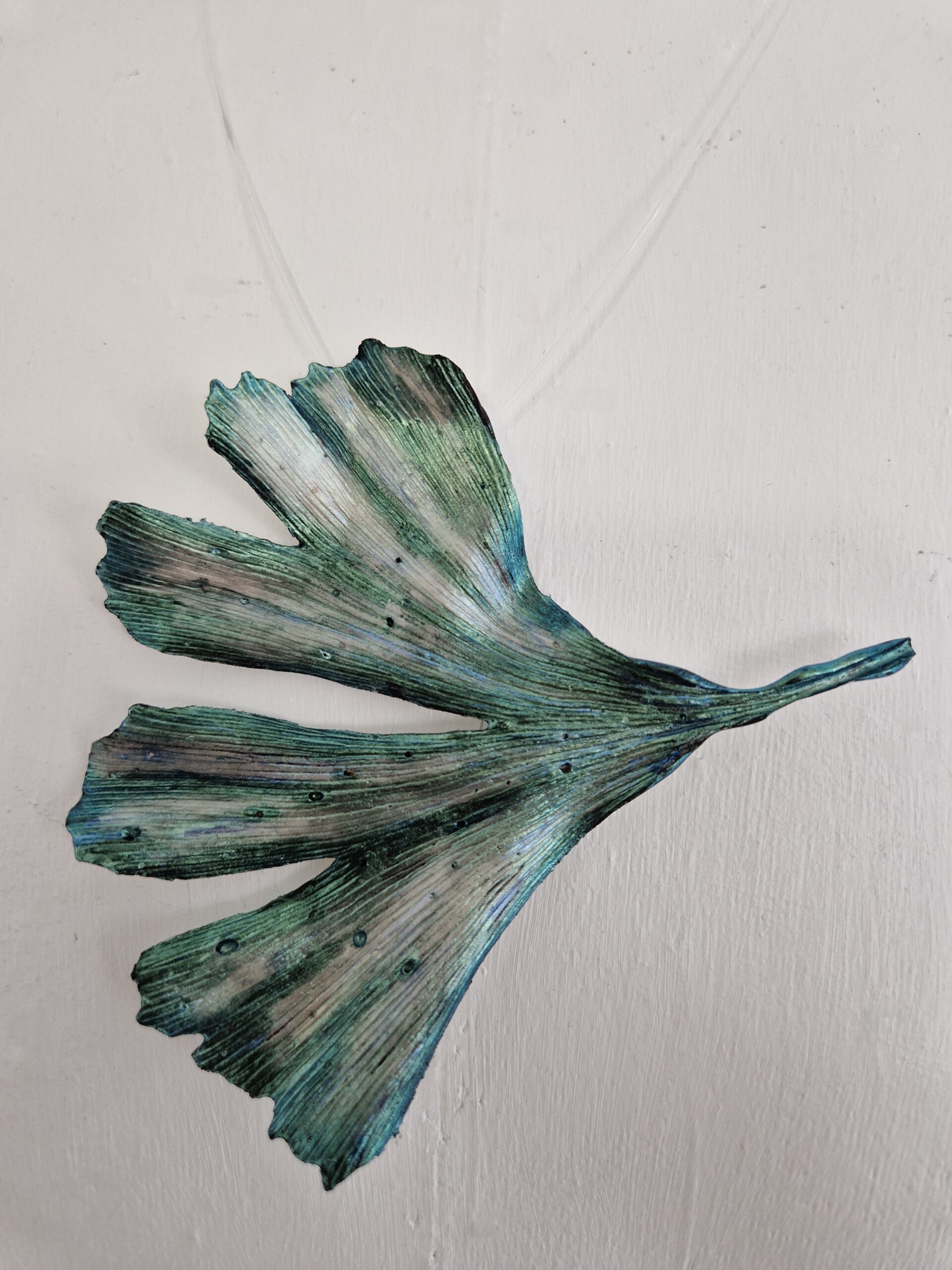 Ginkgo Biloba Leaf
