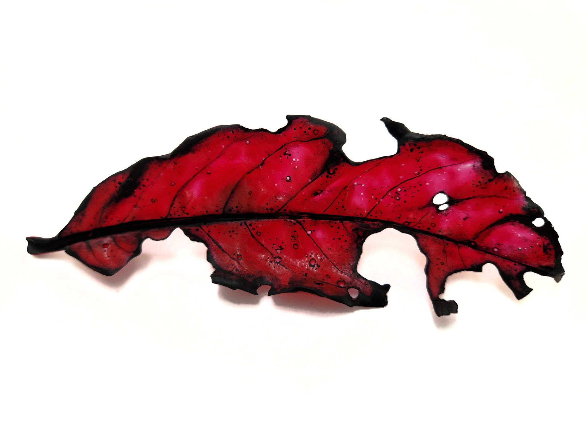 Distressed Cherry Laurel Leaf