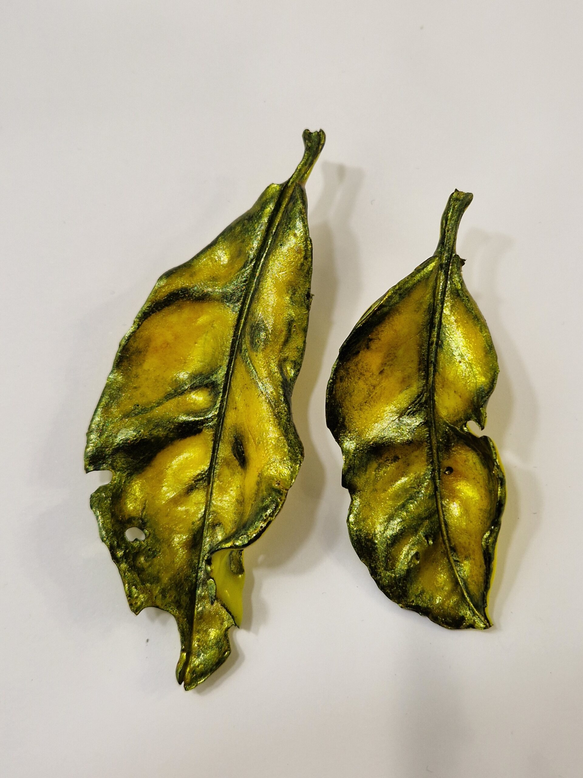 Distressed Cherry Laurel Leaf