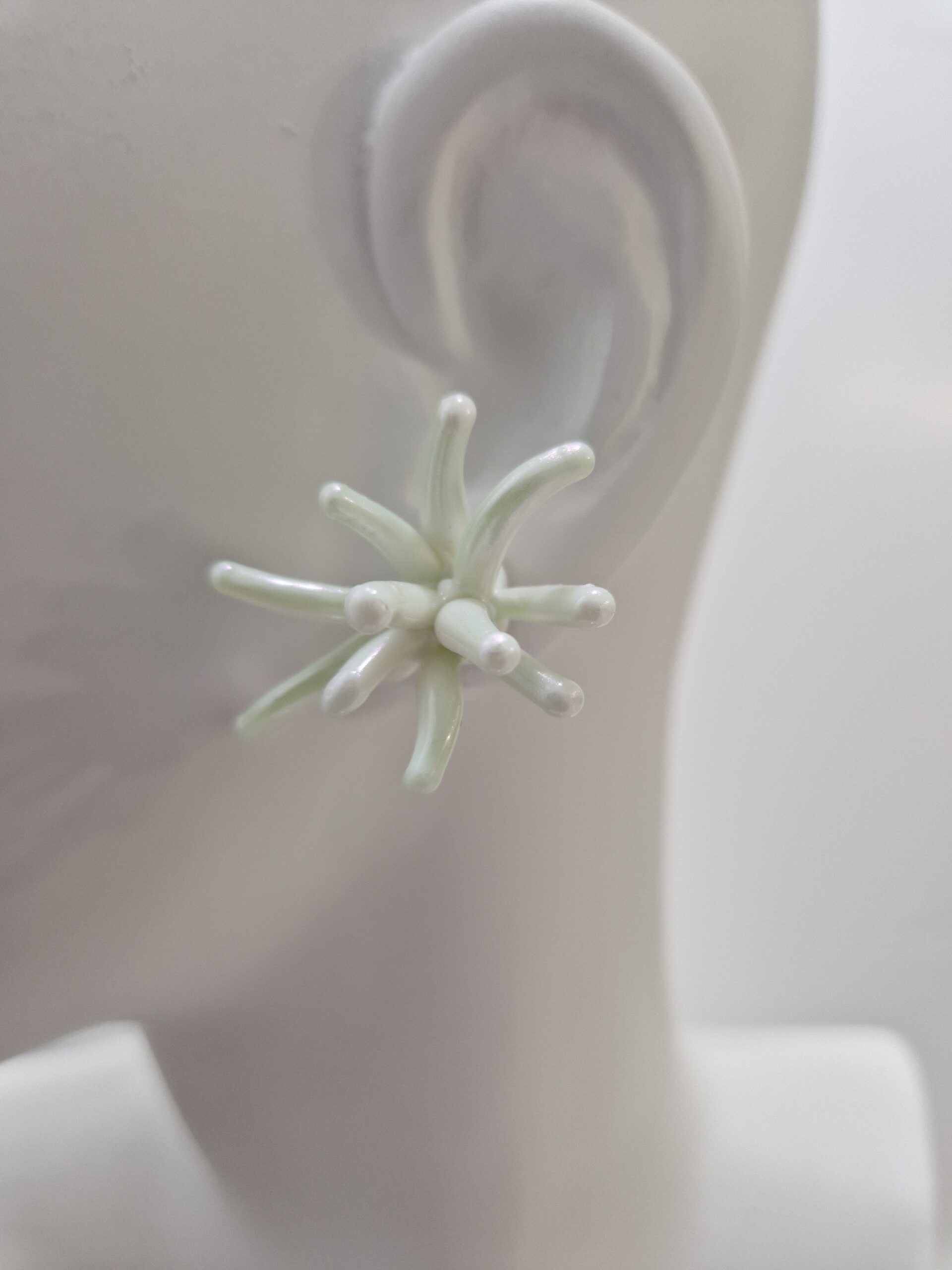 Light Green Sea Anemone