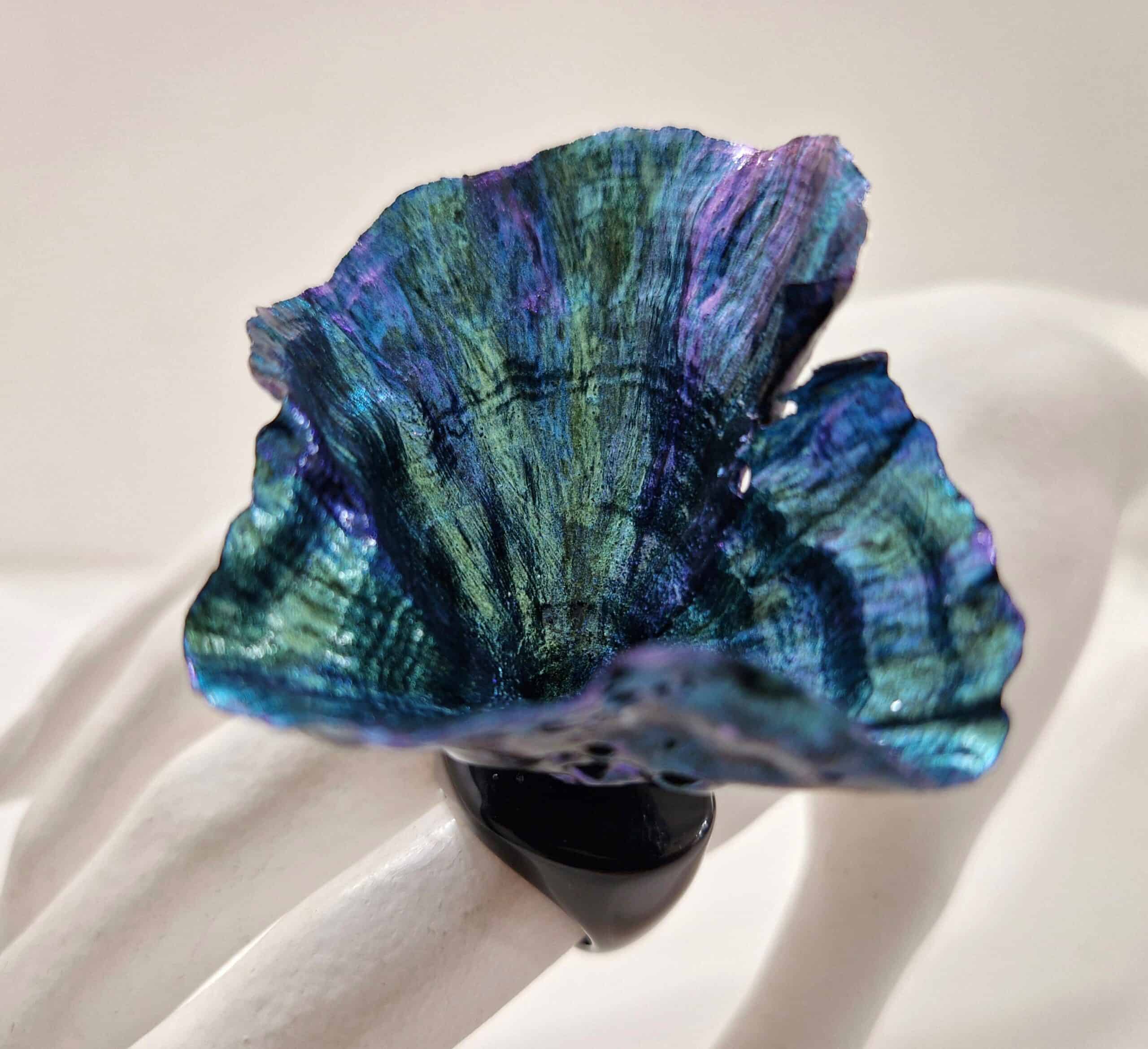 Turbinaria Coral
