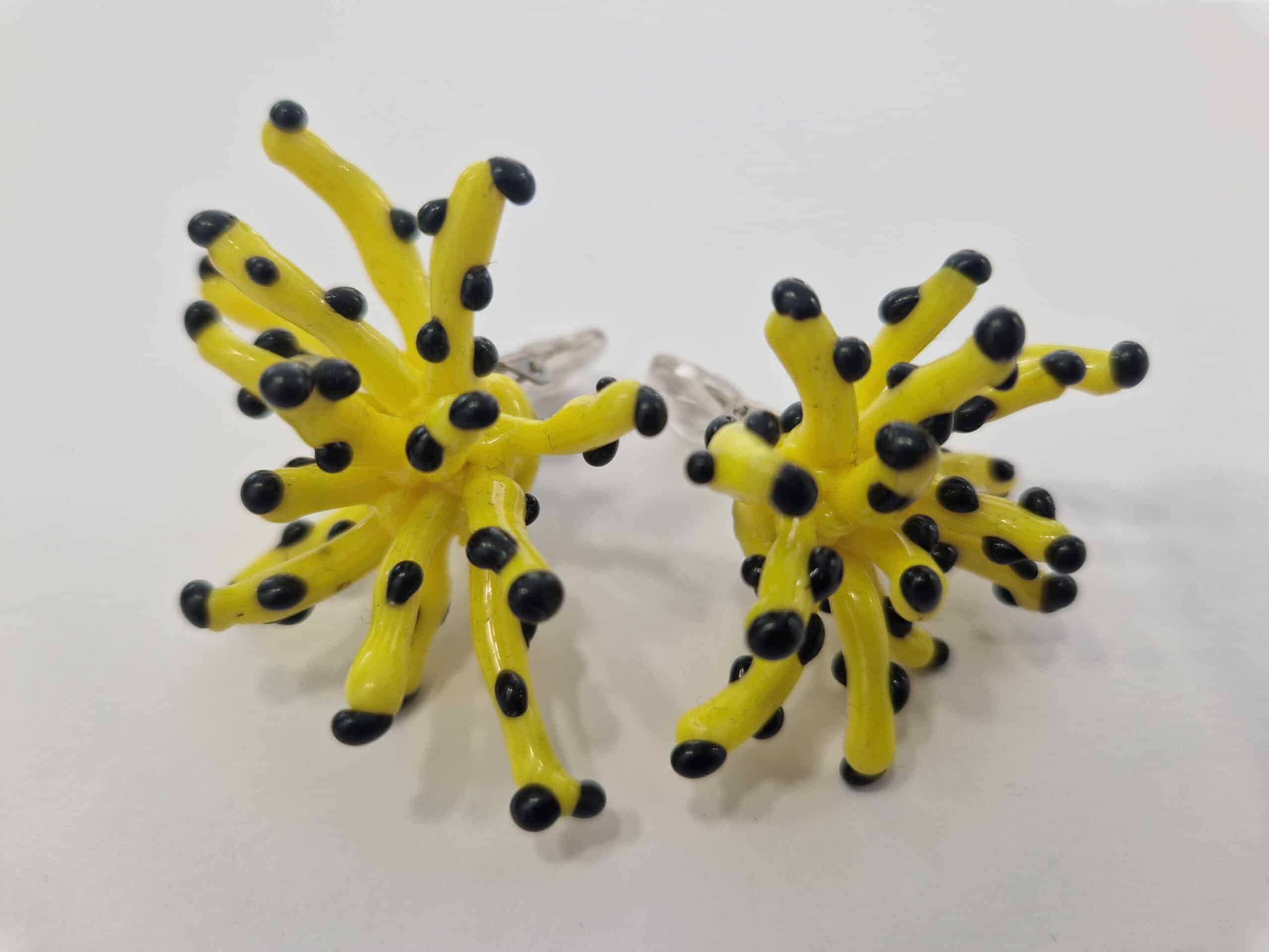 Spotted Sea Anemone