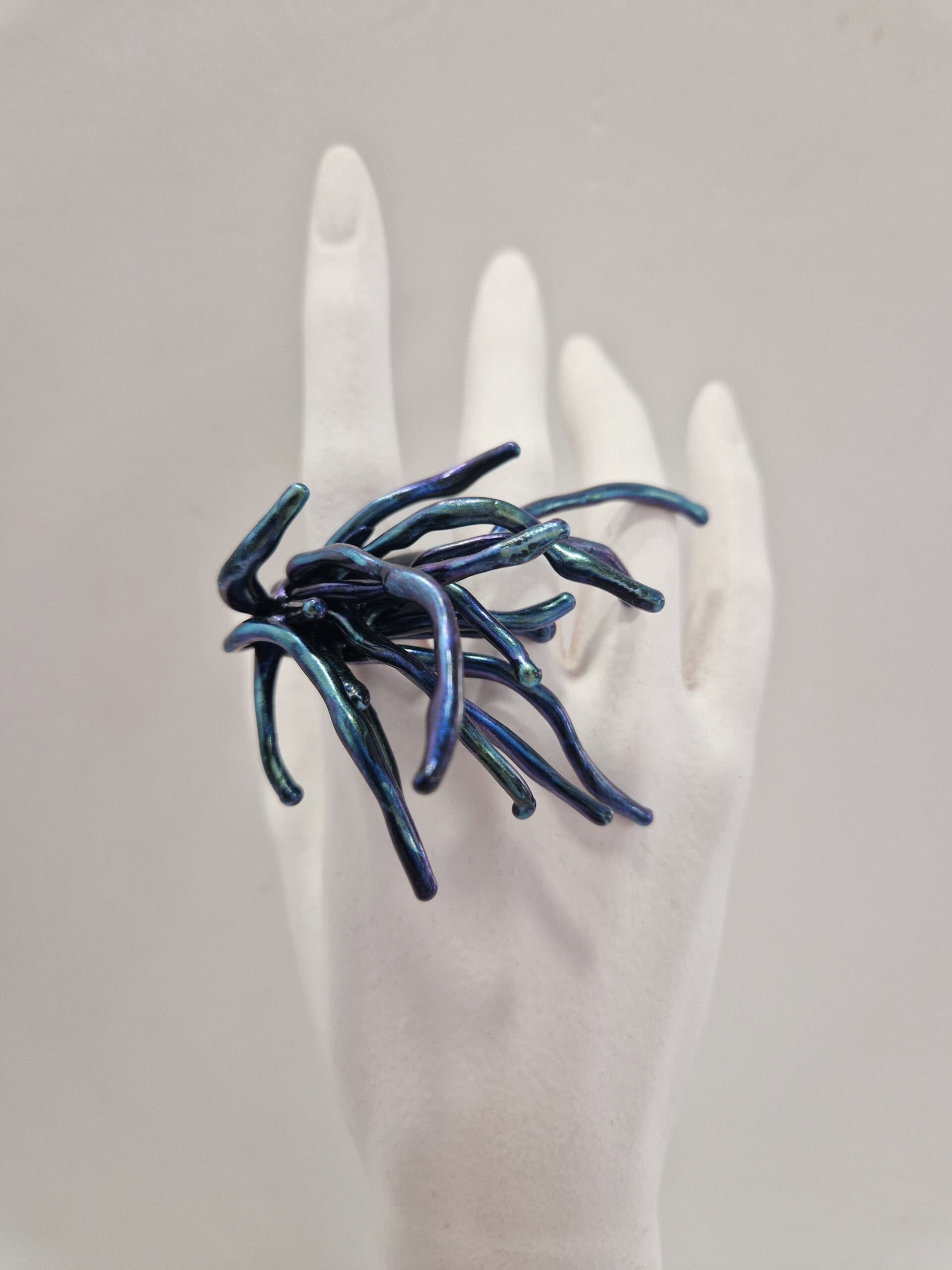 Chameleon Sea Anemone