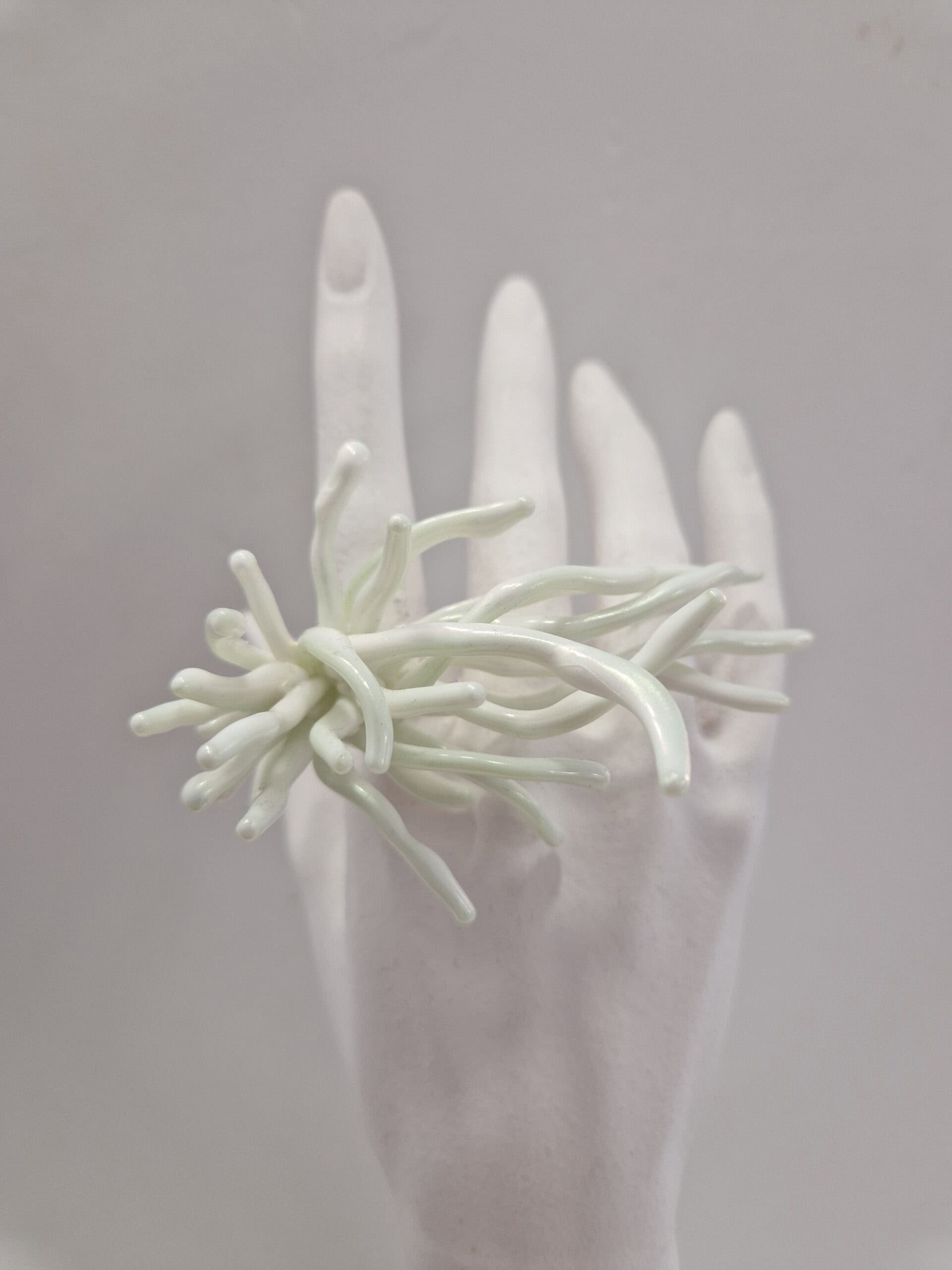 Light Green Sea Anemone