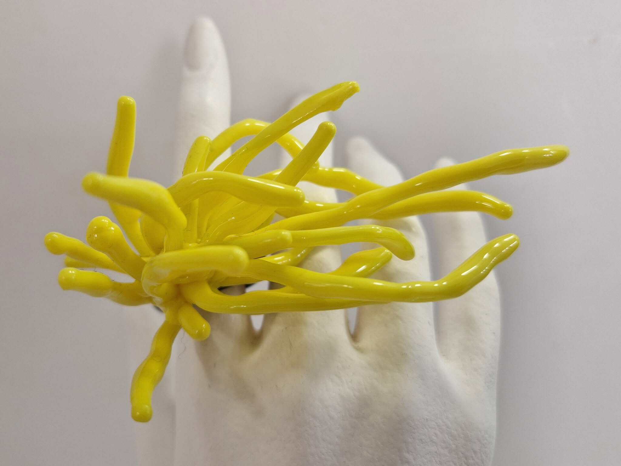 Yellow Sea Anemone
