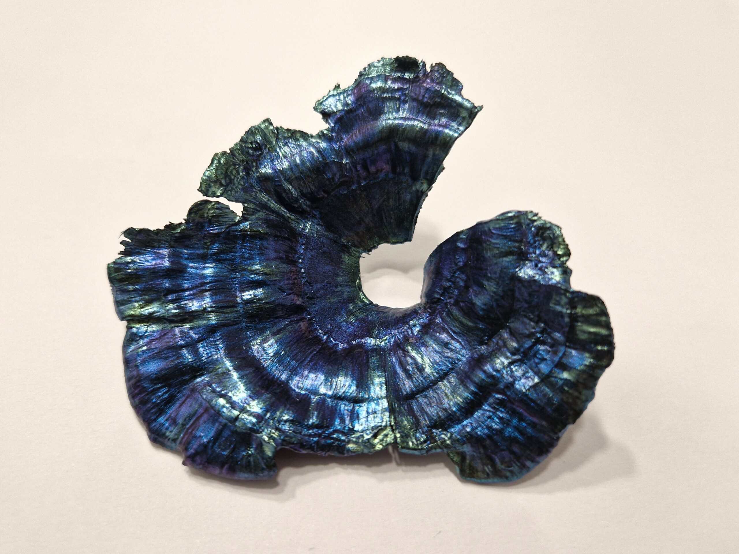 Turbinaria Coral