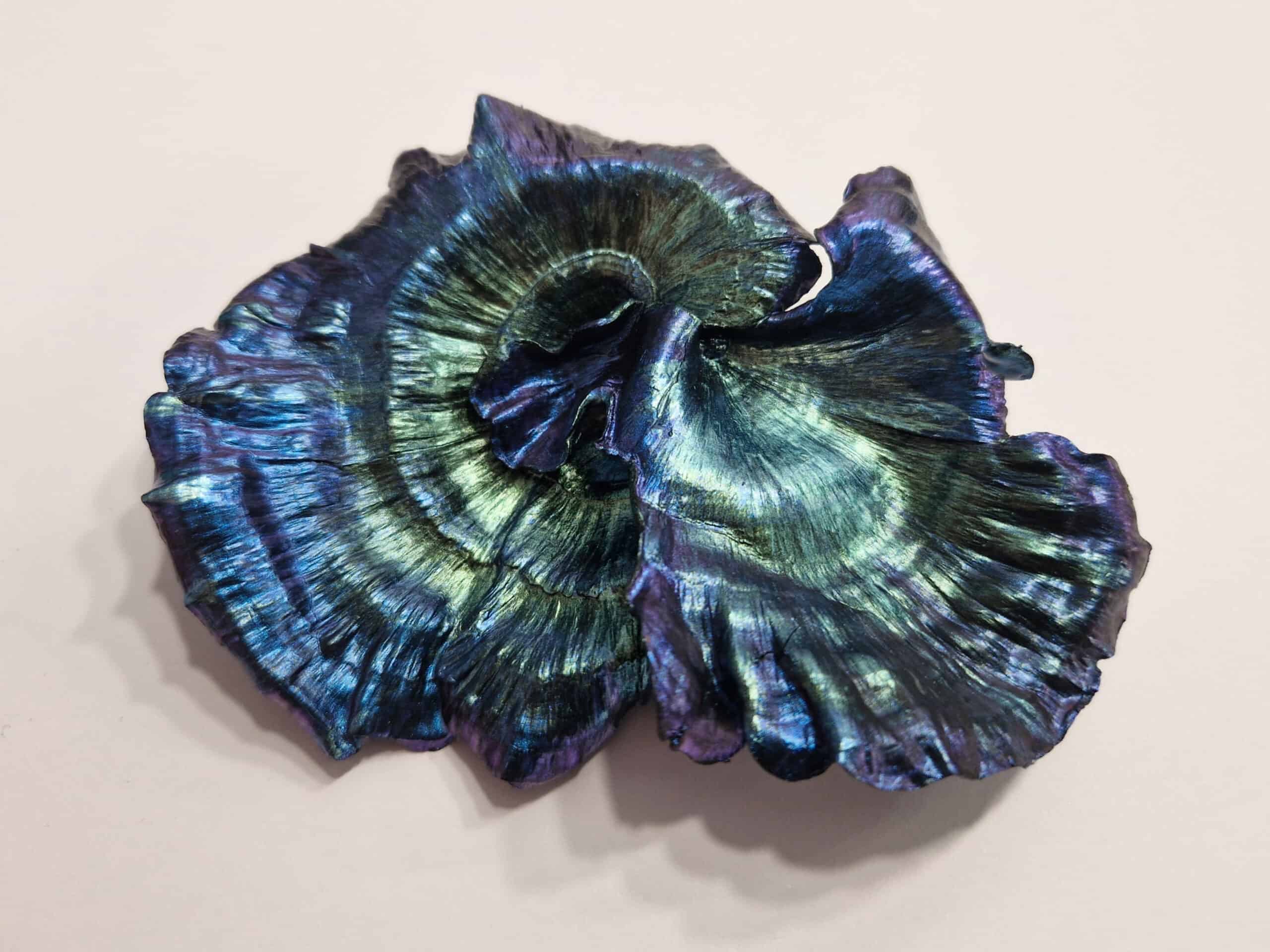 Turbinaria Coral