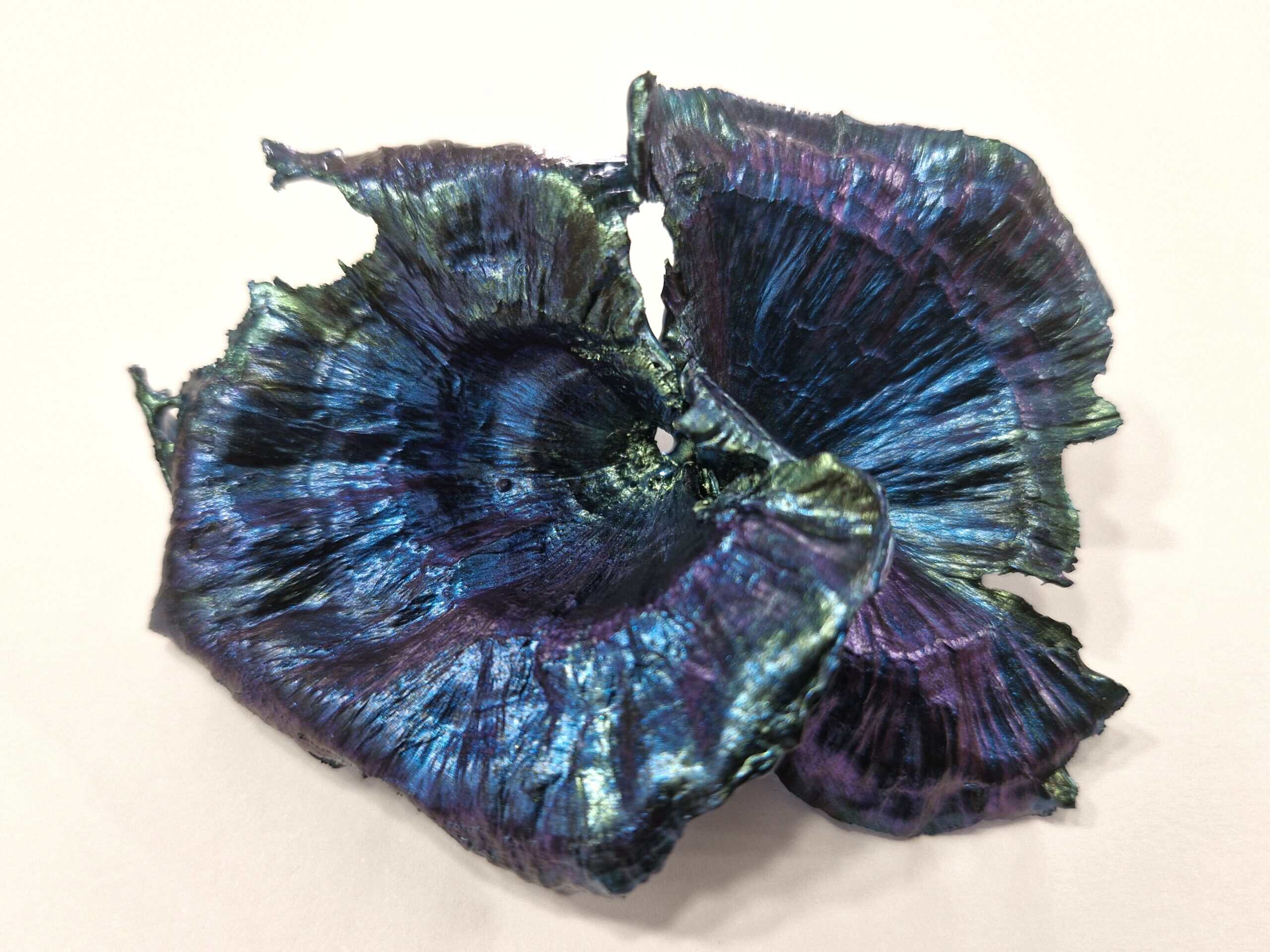 Turbinaria Coral