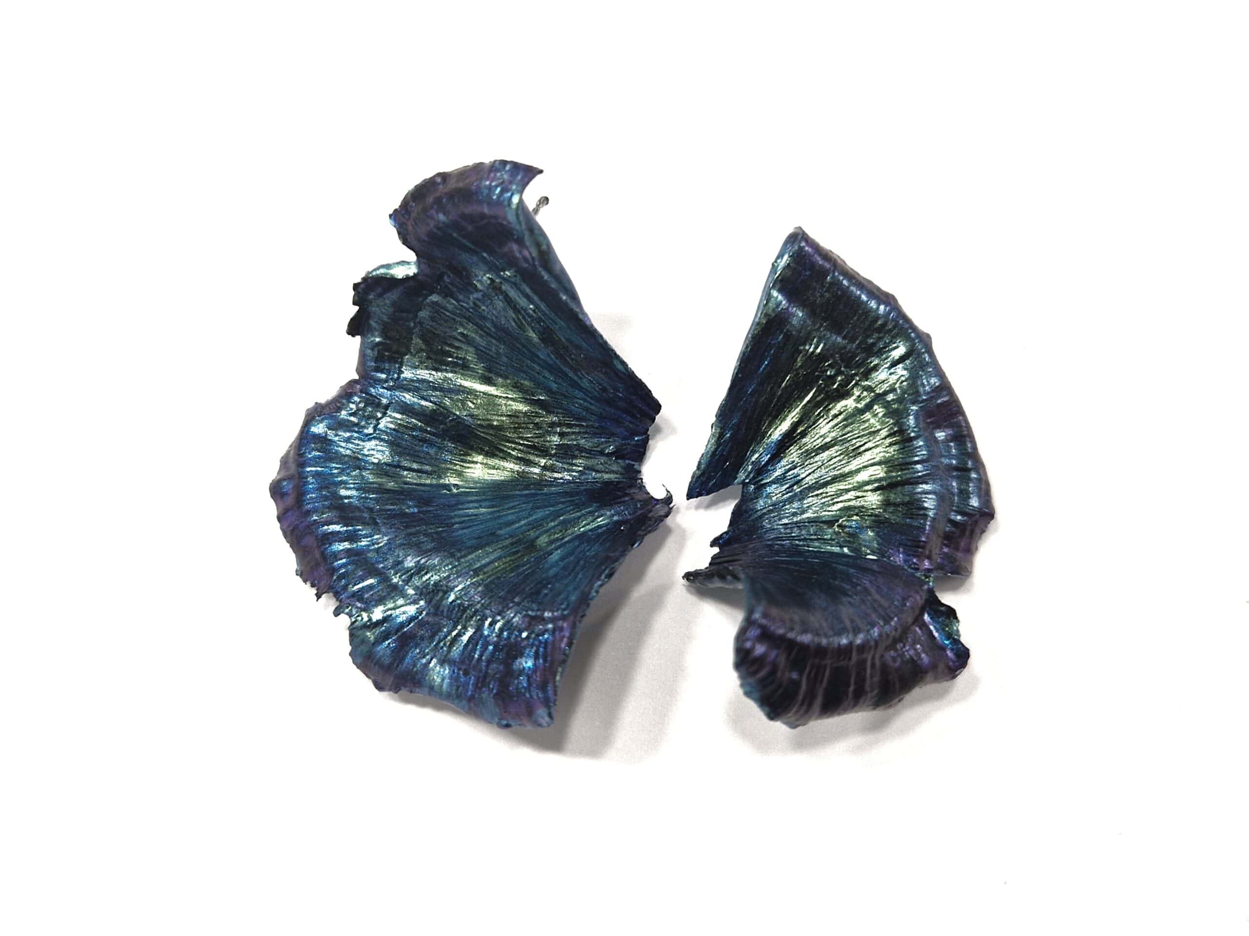 Turbinaria Coral