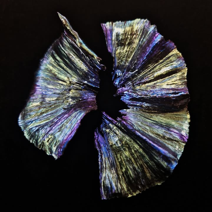GUALTI