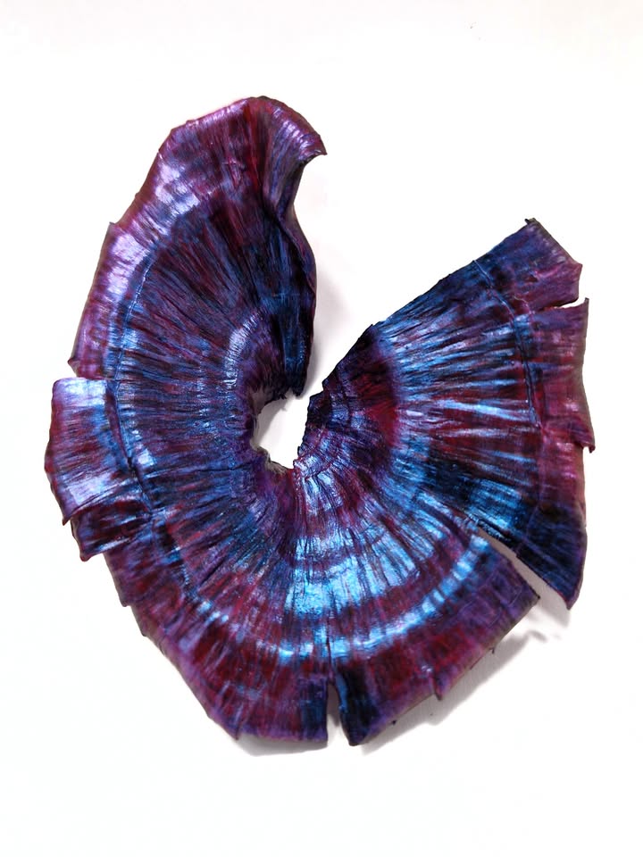GUALTI